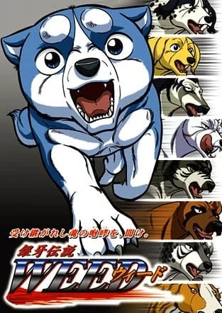 Легенда о Серебряном Клыке (2005)