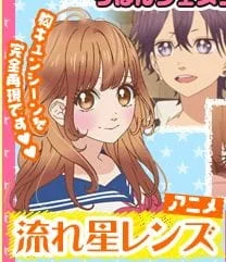 Словно звездопад (2012)