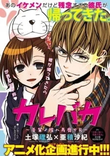 Тупарень! Мой парень — идиот (2015)