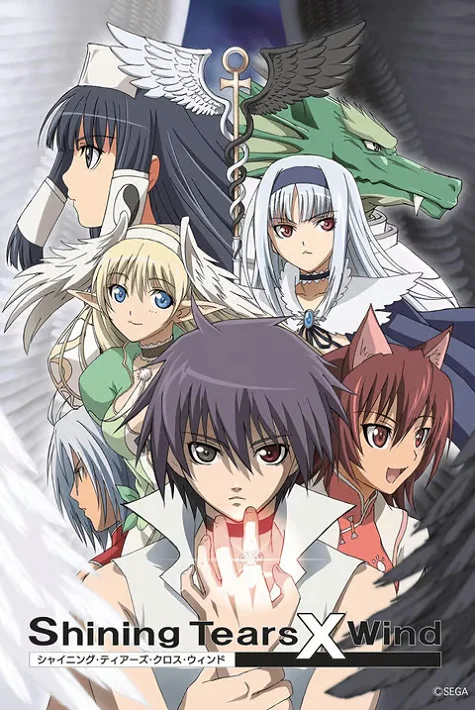 Сверкающие слезы и ветер (2007)