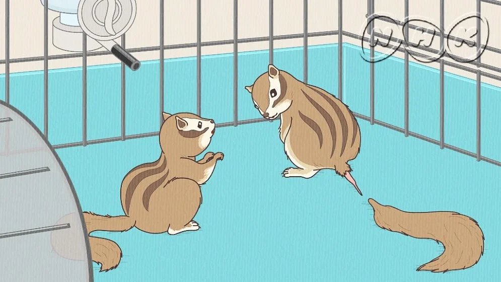 Энциклопедия жалких созданий: Спецвыпуски (2019)