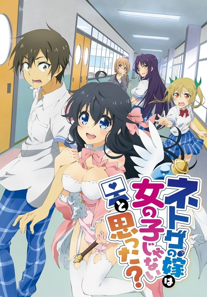 А ты думал, что твоя жена в онлайн-игре на самом деле не девушка? (2016)