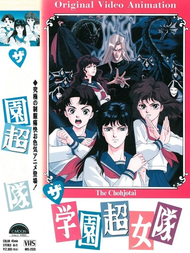 Команда супершкольниц (1991)