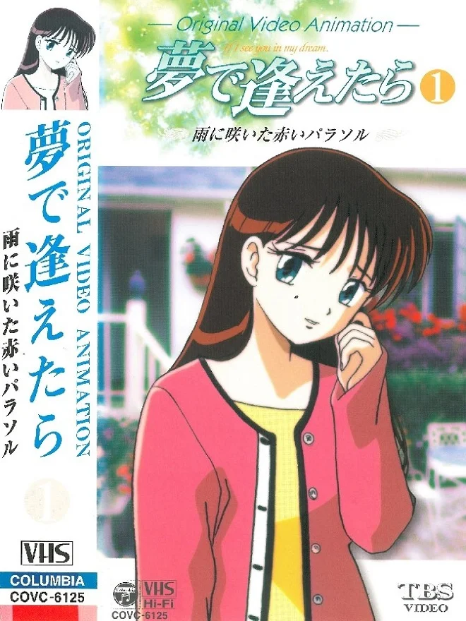 Увидеть тебя в моих мечтах OVA (1998)