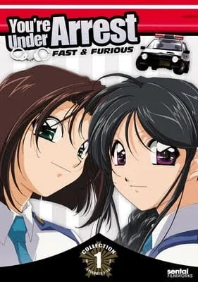 Вы арестованы [ТВ-2] (1996)