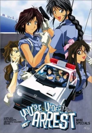 Вы арестованы (cпэшлы) (1999)